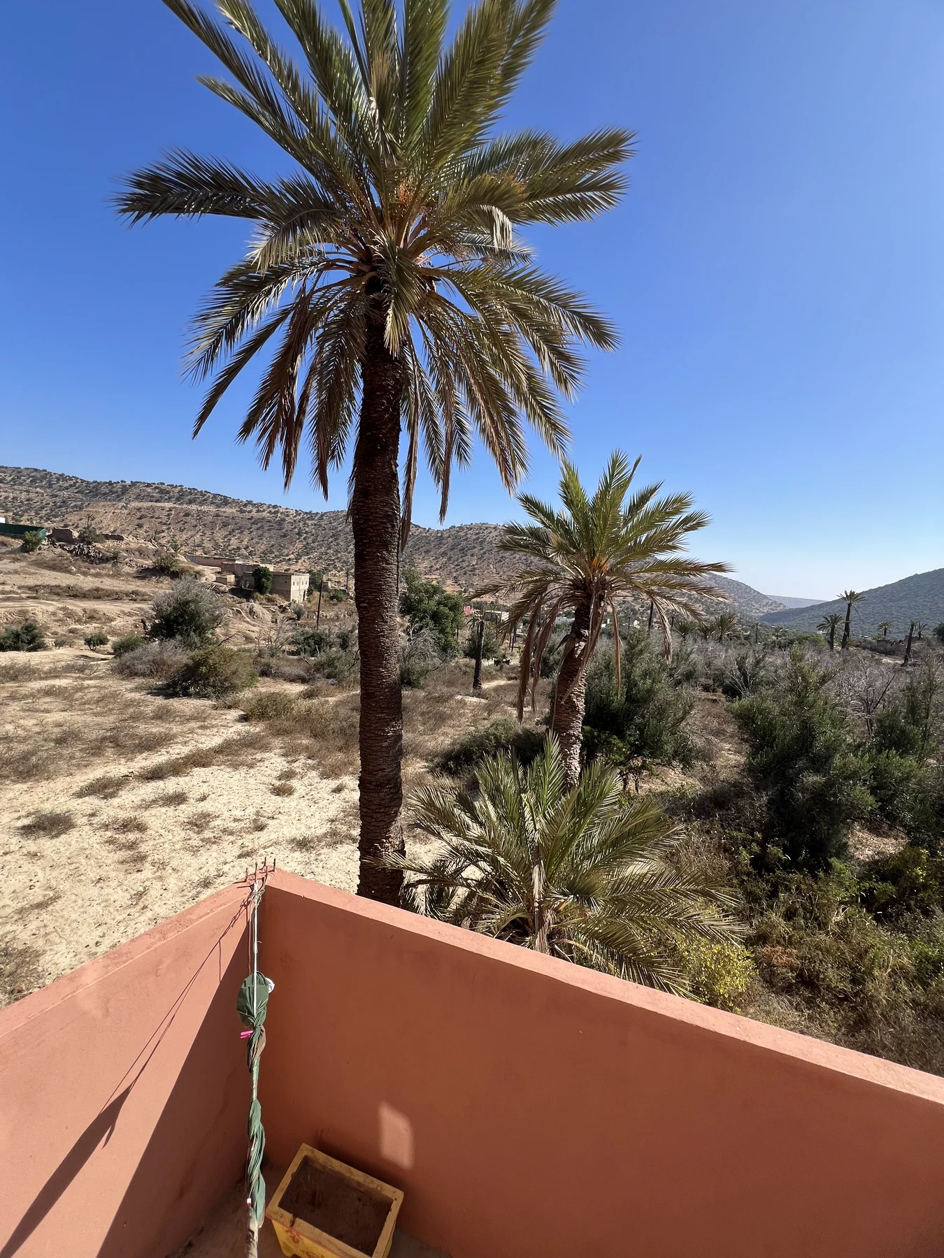 Palm terrace view over the Agadir hills